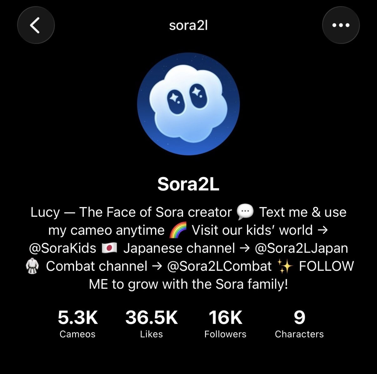 Sora2L profile bio showing links to @SoraKids, @Sora2LJapan, and @Sora2LCombat accounts